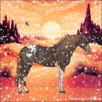 Horse Color:Liver Chestnut Tobiano Appaloosa 