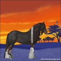 Horse Color:Liver Chestnut Tobiano 