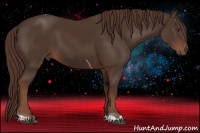 Horse Color:Liver Chestnut Sabino Tobiano 