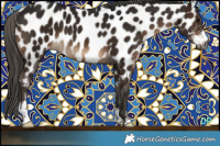 Horse Color:Gray Brown Sabino Appaloosa 