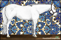 Horse Color:Gray Brown Sabino 