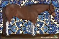 Horse Color:Liver Chestnut Tobiano Frame 