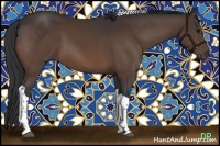 Horse Color:Brown Tobiano