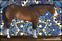 Horse Color:Gray Buckskin Sabino Splash 