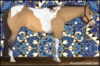 Horse Color:Buckskin Sabino Tobiano 