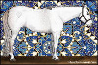 Horse Color:Gray Chestnut Tobiano 