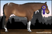 Horse Color:Gray Buckskin Roan Tobiano 