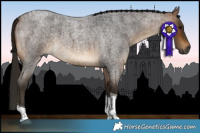 Horse Color:Gray Buckskin Roan Tobiano