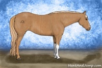 Horse Color:Chestnut  and Chestnut 