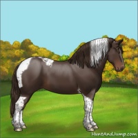 Horse Color:Liver Chestnut Tobiano 