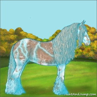 Horse Color:Thunderstruck Chestnut Ice Splash Appaloosa 