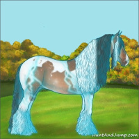Horse Color:Thunderstruck Brown Dun Tobiano Varnish