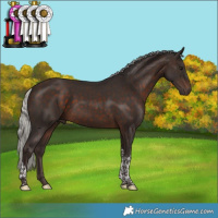 Horse Color:Silver Brown Tobiano 