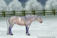 Horse Color:Watercolor White Spotted Silver Brown Dun