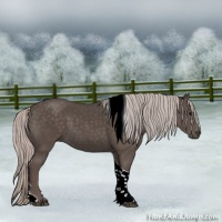 Horse Color:Silver Black Tobiano 