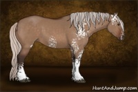 Horse Color:White Spotted Silver Brown Dun 
