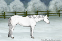 Horse Color:Gray Brown Dun Tobiano Rabicano 