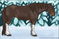 Horse Color:Liver Chestnut Tobiano 