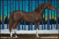 Horse Color:Liver Chestnut Tobiano 