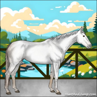 Horse Color:Gray Red Dun 
