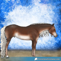 Horse Color:Liver Chestnut Mushroom 