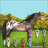 Horse Color:Brown Mushroom Sabino Appaloosa