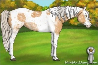 Horse Color:Silver Buckskin Splash Tobiano 