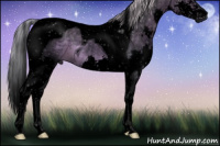 Horse Color:Gray Void Silver Black Chinchilla Splash Tobiano