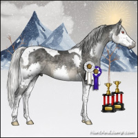 Horse Color:Gray Silver Black Chinchilla Splash Tobiano 