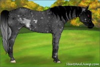 Horse Color:Void Silver Classic Champagne Chinchilla Splash Tobiano 