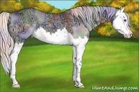 Horse Color:Nacre Silver Brown Chinchilla Ice Splash 