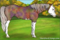 Horse Color:Nacre Silver Brown Splash