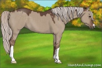 Horse Color:Silver Grullo 