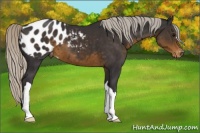 Horse Color:Silver Smoky Black Appaloosa 