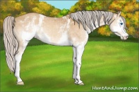 Horse Color:White Spotted Silver Sable Cream Champagne Splash 