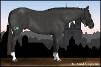 Horse Color:Liver Red Roan 