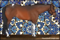 Horse Color:Bay Tobiano 