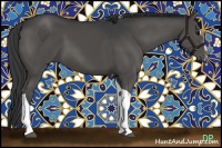 Horse Color:Black Sabino Tobiano 