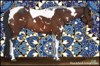 Horse Color:White Spotted Brown Tobiano Rabicano
