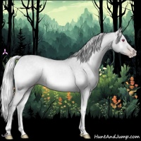 Horse Color:Silver Classic Champagne Chinchilla Onyx 