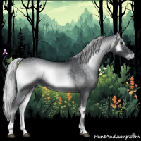 Horse Color:Silver Blue Onyx Chinchilla