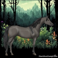Horse Color:Grullo 