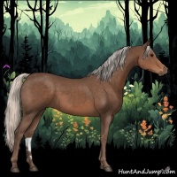Horse Color:Silver Black 