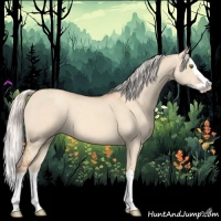 Horse Color:Silver Classic Champagne Dun Splash 