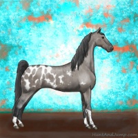 Horse Color:Grullo Tobiano Appaloosa Brindle 