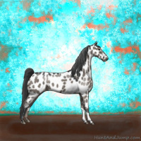 Horse Color:Grullo Tobiano Near Leopard Brindle 
