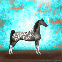 Horse Color:Gray Grullo Tobiano Appaloosa Brindle