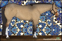 Horse Color:White Spotted Buckskin Dun Sabino