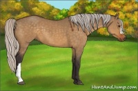 Horse Color:Silver Buckskin Dun 