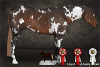 Horse Color:White Spotted Liver Chestnut 